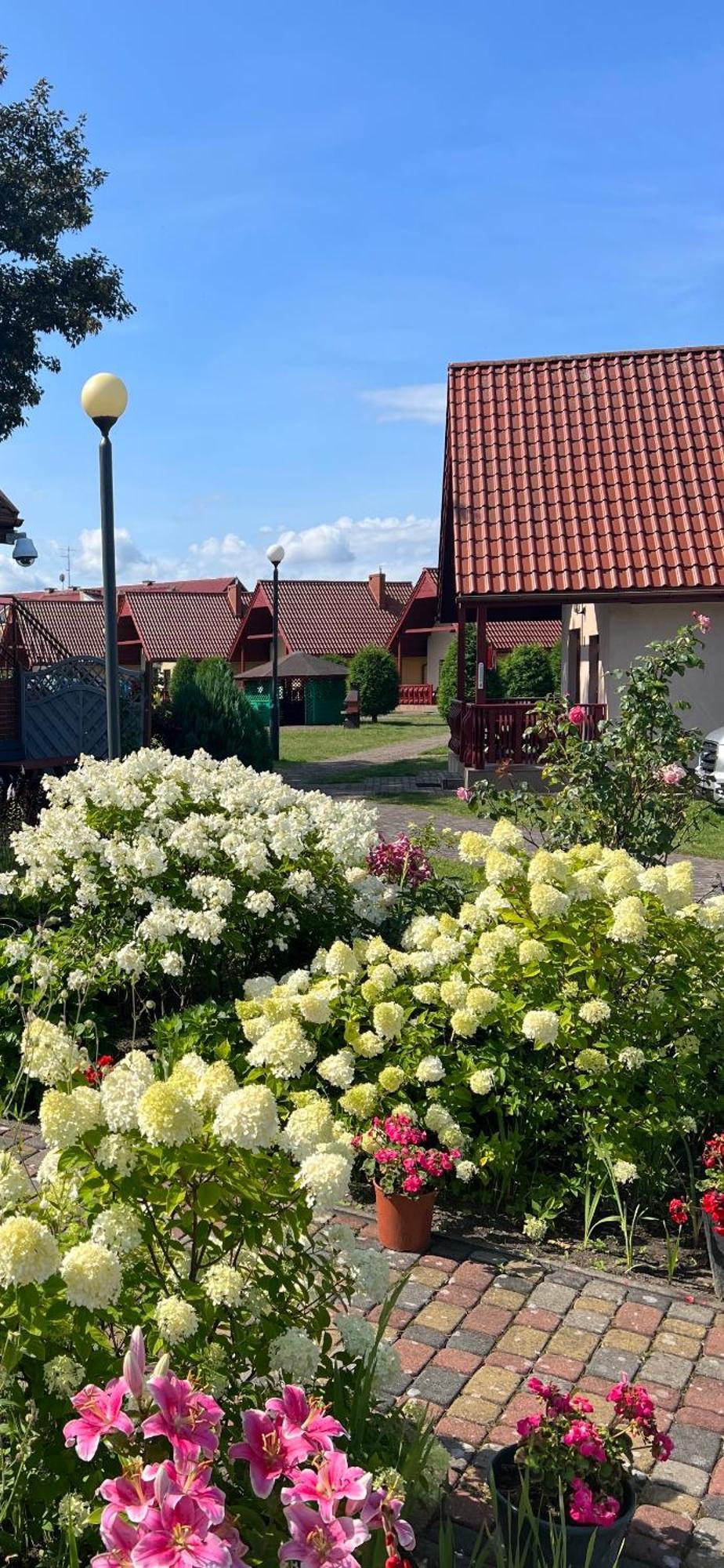 Lazur Domki Wypoczynkowe Dźwirzyno Extérieur photo